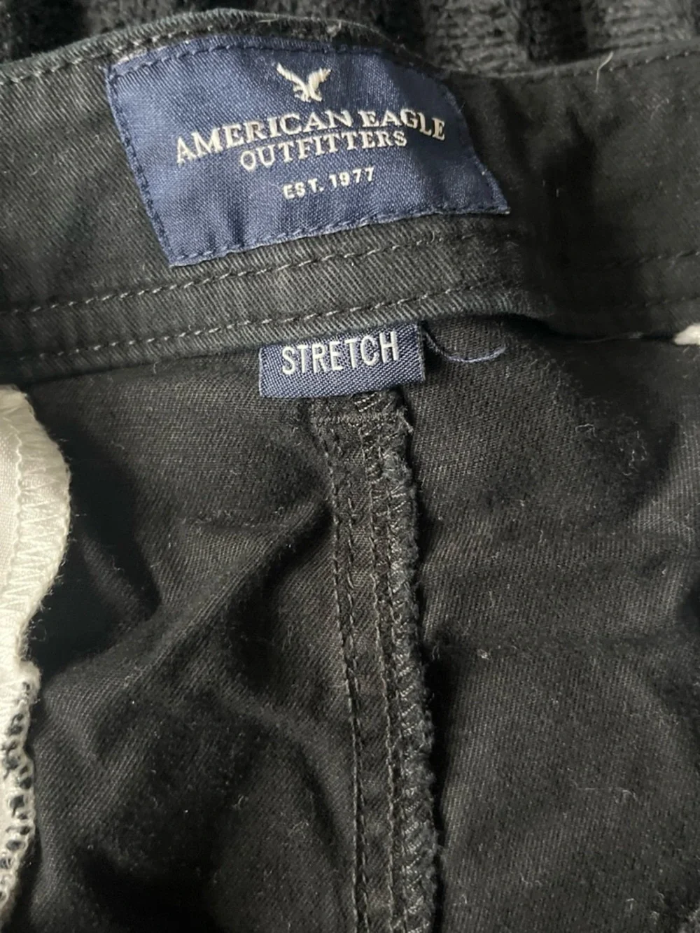 American Eagle Outfitters Black Flat-Front Casual Shorts